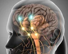 Ben Rein nói gặp mặt trực tiếp làm tăng hormone dễ chịu