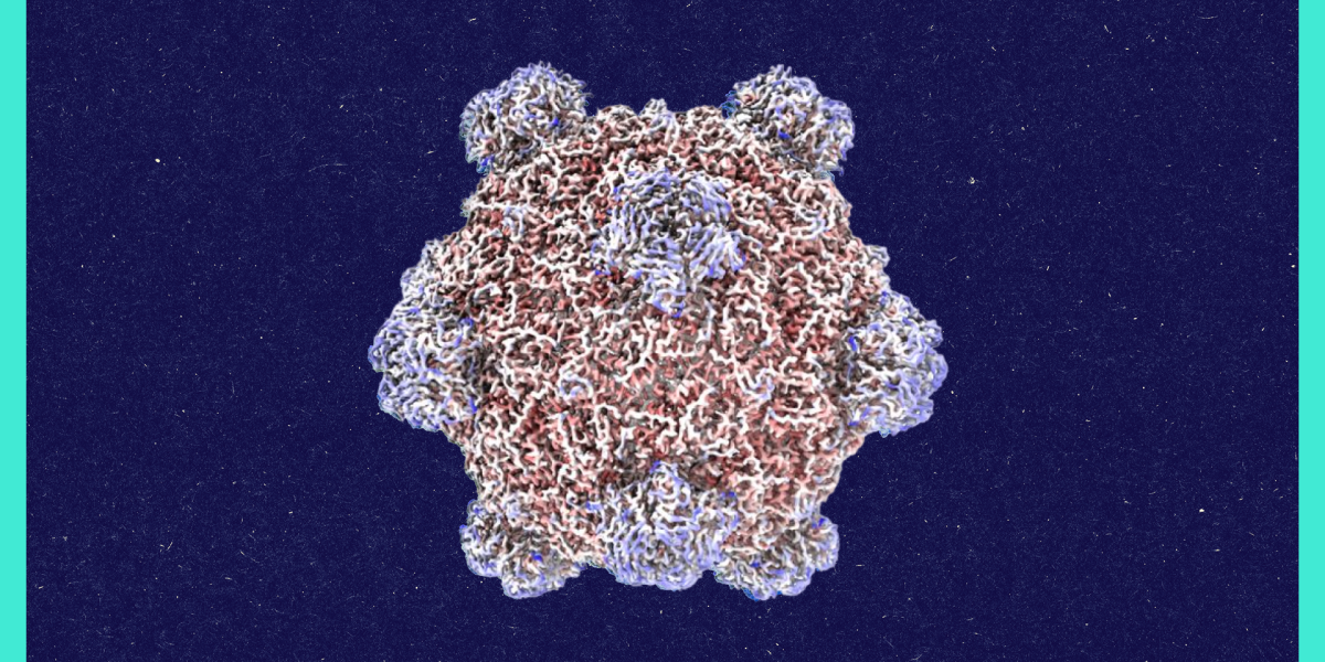 Buổi trò chuyện về virus do AI thiết kế