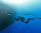 Blue Planet III dùng cảnh mờ hơn để chứng minh là thật