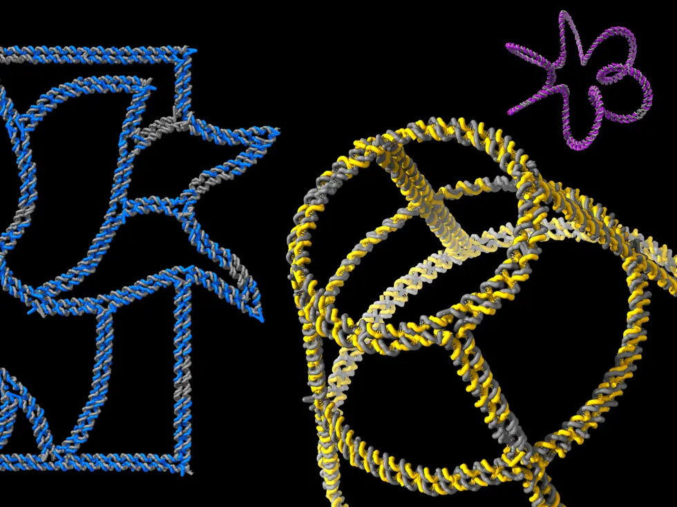 Nhóm Hàn Quốc dùng AI tạo thiết kế "DNA origami" cho hình dạng phức tạp